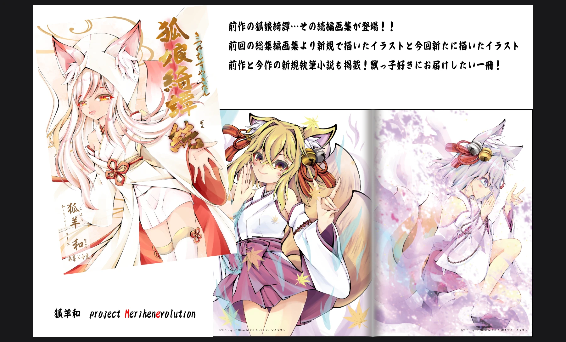 狐娘綺譚続