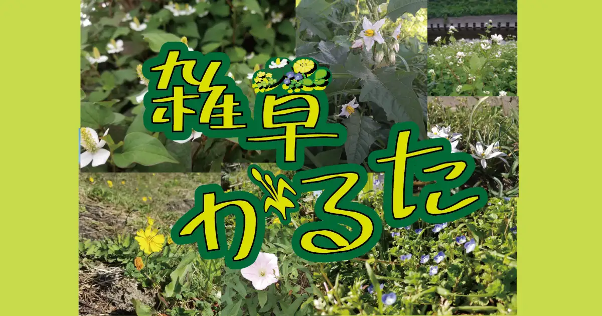 雑草かるた